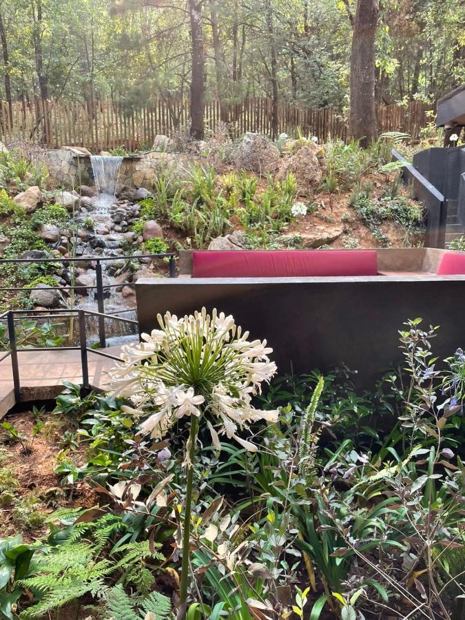 Hotel Oxu Solo Adultos Valle de Bravo Dış mekan fotoğraf