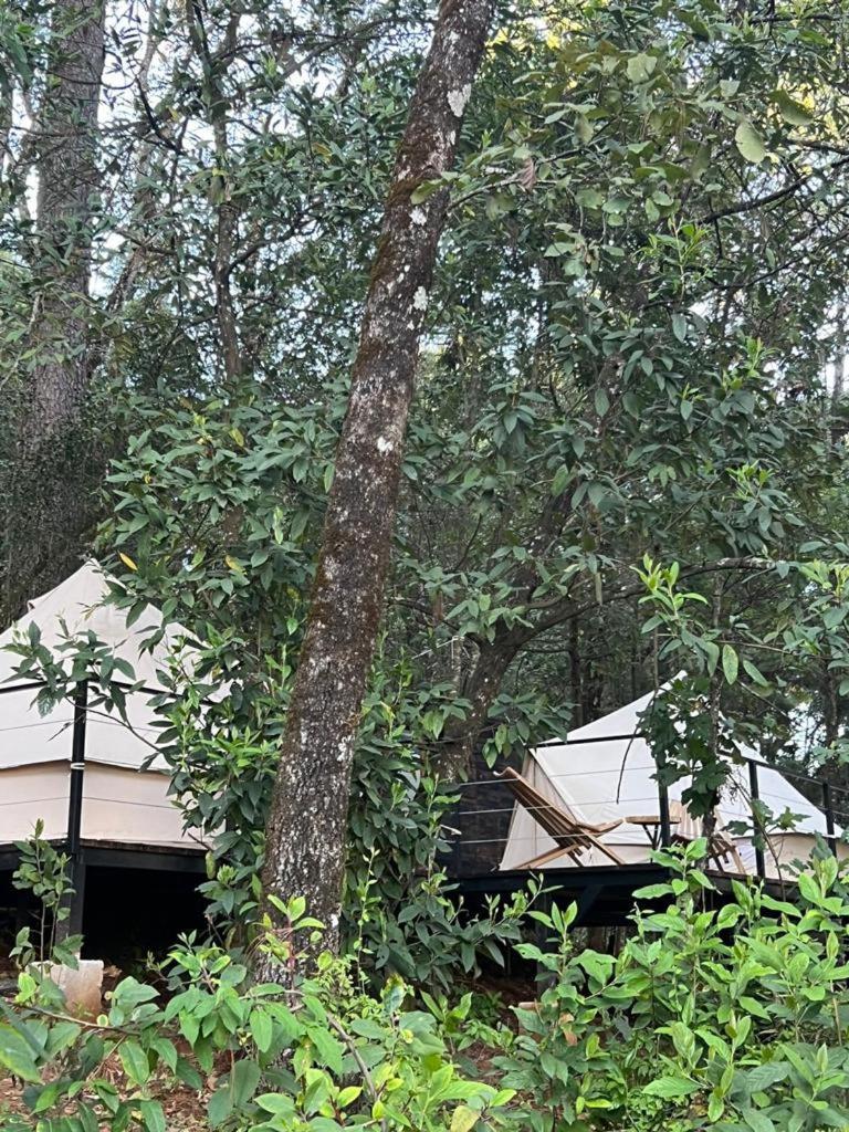 Hotel Oxu Solo Adultos Valle de Bravo Dış mekan fotoğraf
